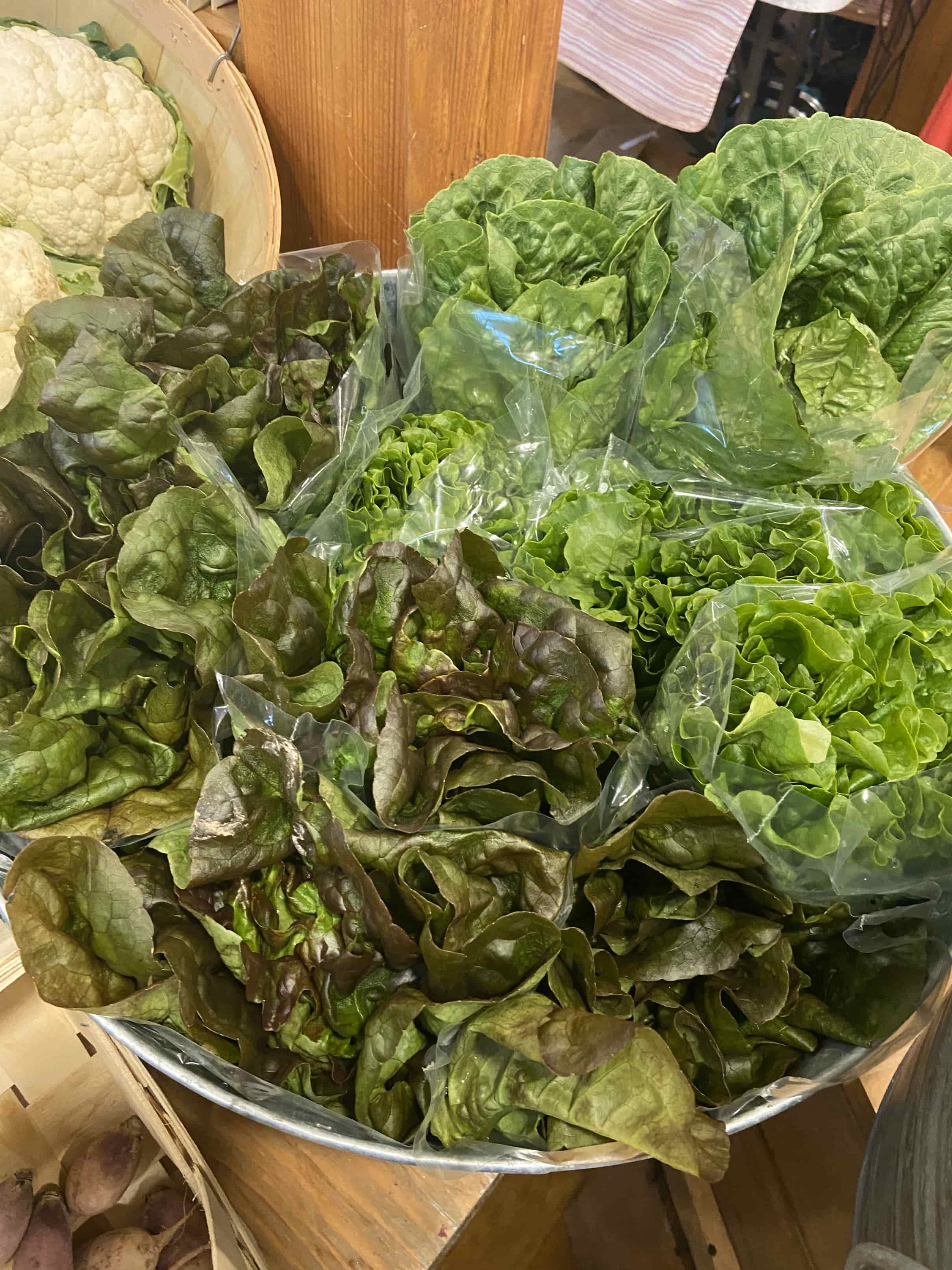 Lettuce, Red Leaf