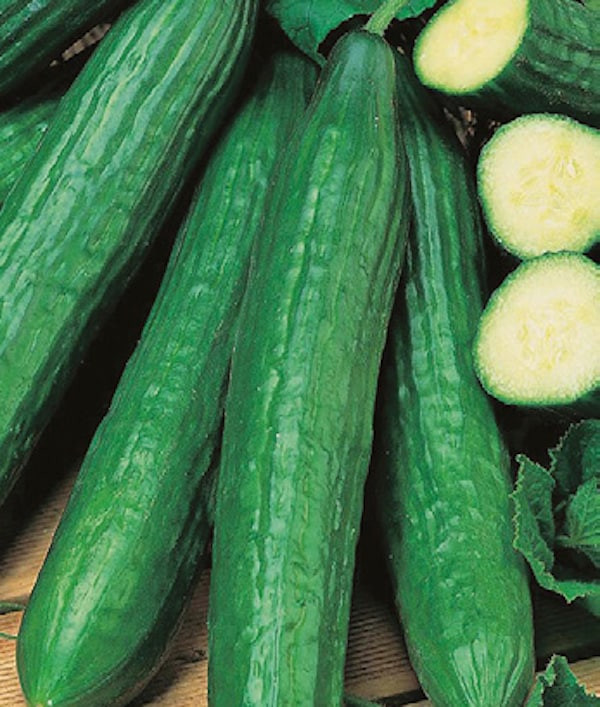 Cucumber, English Seedless