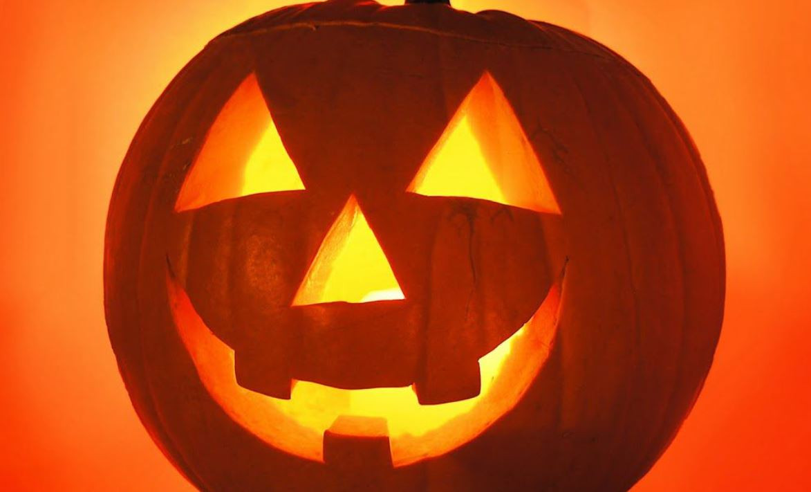 Fall and Halloween at the Farm!
